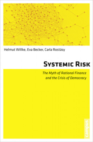 Könyv Systemic Risk Helmut Willke