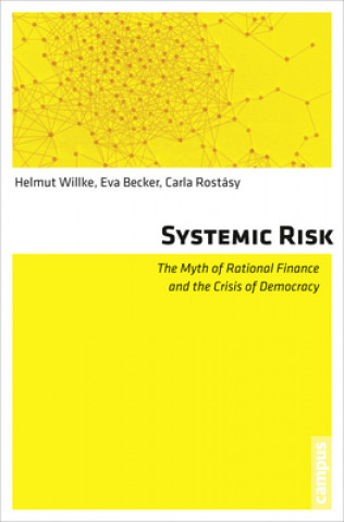 Kniha Systemic Risk Helmut Willke