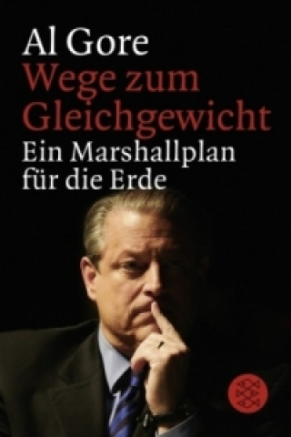 Kniha Wege zum Gleichgewicht Al Gore
