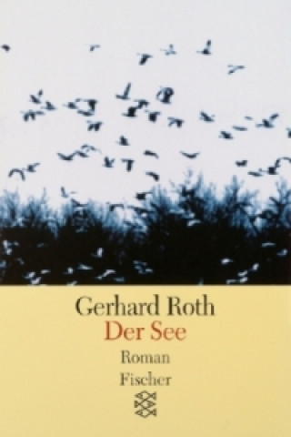 Kniha Der See Gerhard Roth