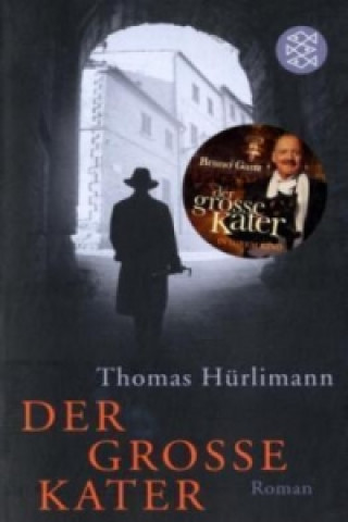 Libro Der große Kater Thomas Hürlimann