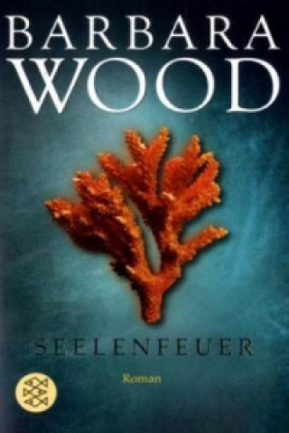 Книга Seelenfeuer Barbara Wood