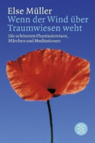 Buch Wenn der Wind über Traumwiesen weht Else Müller