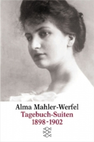 Könyv Tagebuch-Suiten 1898-1902 Alma Mahler-Werfel