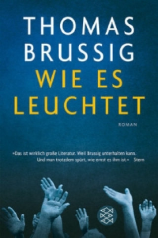 Книга Wie es leuchtet Thomas Brussig