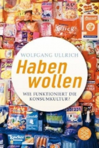 Kniha Haben wollen Wolfgang Ullrich