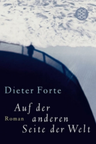 Kniha Auf der anderen Seite der Welt Dieter Forte