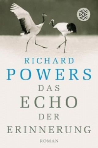 Buch Das Echo der Erinnerung Richard Powers