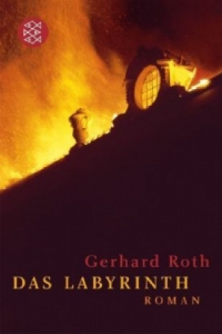 Boek Das Labyrinth Gerhard Roth