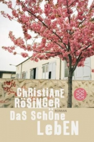 Könyv Das schöne Leben Christiane Rösinger