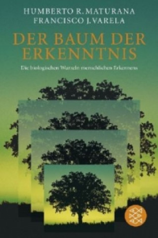 Kniha Der Baum der Erkenntnis Humberto R. Maturana