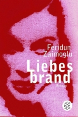 Kniha Liebesbrand Feridun Zaimoglu