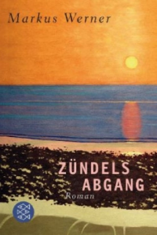 Книга Zündels Abgang Markus Werner
