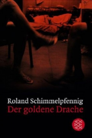 Kniha Der goldene Drache Roland Schimmelpfennig