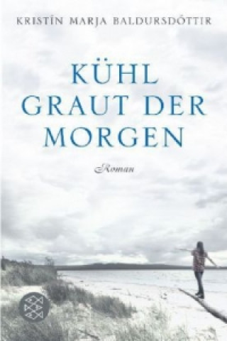 Kniha Kühl graut der Morgen Kristin M. Baldursdóttir