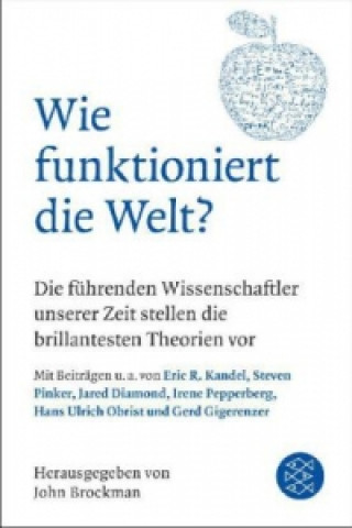 Kniha Wie funktioniert die Welt? John Brockman