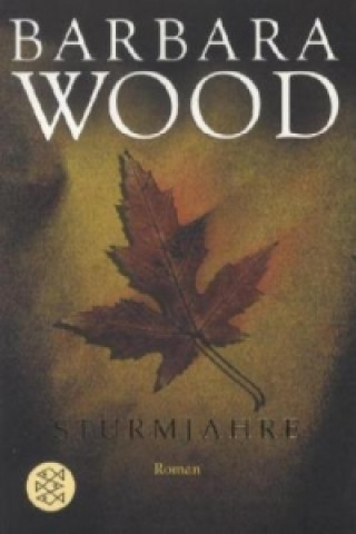 Knjiga Sturmjahre Barbara Wood