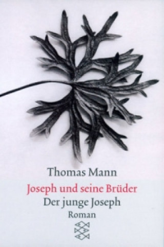 Könyv Joseph und seine Brüder. Tl.2 Thomas Mann