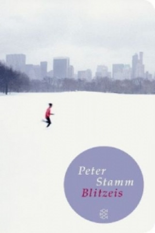 Kniha Blitzeis Peter Stamm