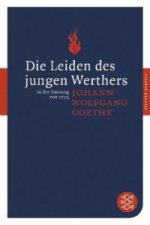 Könyv Die Leiden des jungen Werthers Johann Wolfgang von Goethe