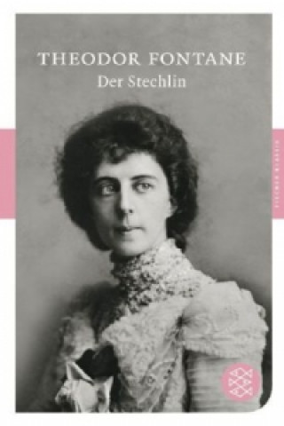 Könyv Der Stechlin Theodor Fontane