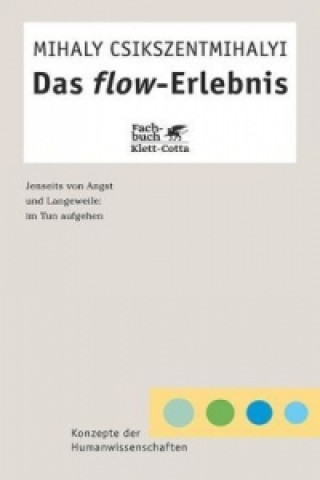 Kniha Das Flow-Erlebnis (Konzepte der Humanwissenschaften) Mihaly Csikszentmihalyi