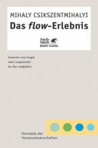 Buch Das Flow-Erlebnis (Konzepte der Humanwissenschaften) Mihaly Csikszentmihalyi