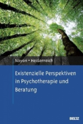 Könyv Existenzielle Perspektiven in Psychotherapie und Beratung Alexander Noyon