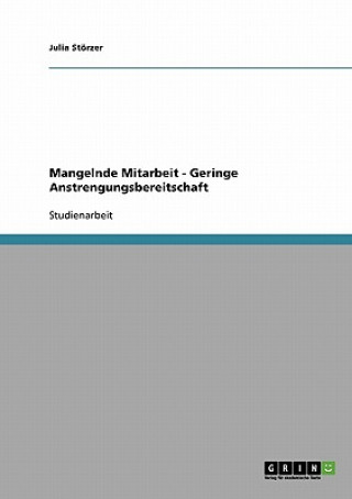 Kniha Mangelnde Mitarbeit - Geringe Anstrengungsbereitschaft Julia Störzer