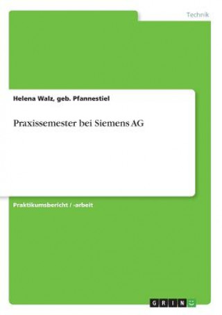 Könyv Praxissemester bei Siemens AG Helena Pfannenstiel