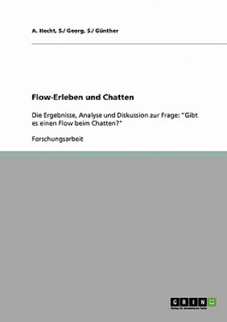 Könyv Flow-Erleben und Chatten S./ Georg