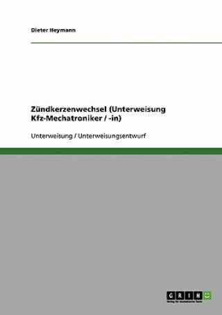 Carte Zündkerzenwechsel (Unterweisung Kfz-Mechatroniker / -in) Dieter Heymann