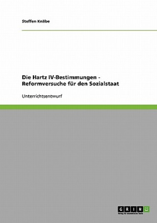 Kniha Hartz IV-Bestimmungen - Reformversuche fur den Sozialstaat Steffen Knäbe