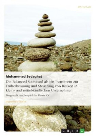 Buch Balanced Scorecard als ein Instrument zur Fruherkennung und Steuerung von Risiken in klein- und mittelstandischen Unternehmen Mohammad Sedaghat