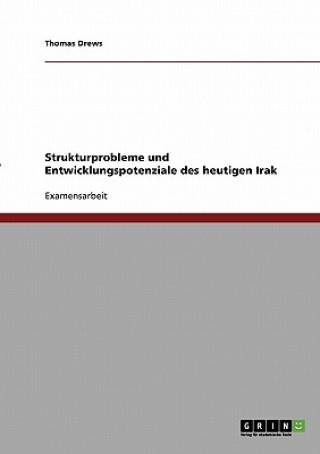 Libro Strukturprobleme und Entwicklungspotenziale des heutigen Irak Thomas Drews