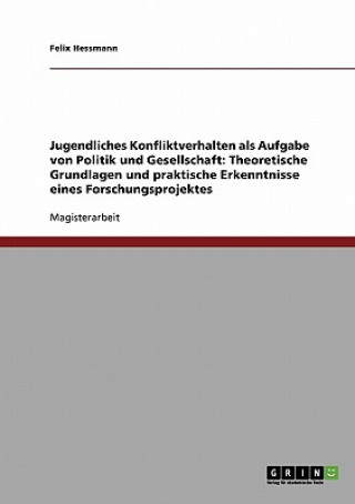 Könyv Jugendliches Konfliktverhalten als Aufgabe von Politik und Gesellschaft Felix Hessmann