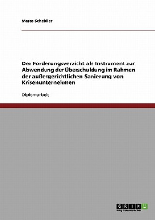 Buch Sanierung von Krisenunternehmen. Durch Forderungsverzicht eine UEberschuldung abwenden Marco Scheidler