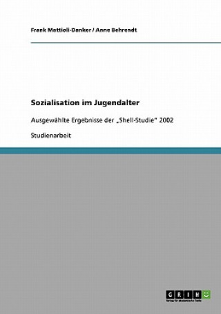 Book Sozialisation im Jugendalter Frank Mattioli-Danker