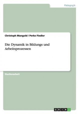 Kniha Dynamik in Bildungs und Arbeitsprozessen Christoph Mangold