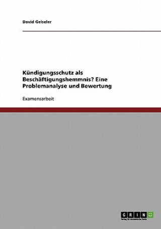 Kniha Kundigungsschutz als Beschaftigungshemmnis? Eine Problemanalyse und Bewertung David Geiseler