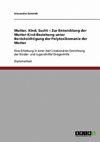 Książka Mutter, Kind, Sucht. Zur Entwicklung der Mutter-Kind-Beziehung unter Berücksichtigung der Polytoxikomanie der Mutter Alexandra Schmidt