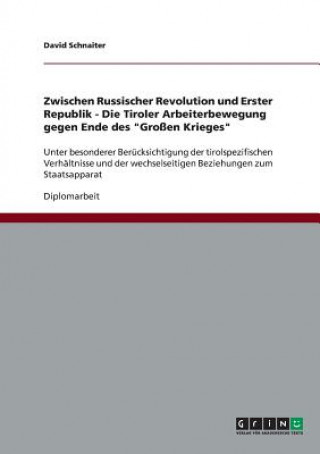 Kniha Zwischen Russischer Revolution und Erster Republik - Die Tiroler Arbeiterbewegung gegen Ende des Grossen Krieges David Schnaiter