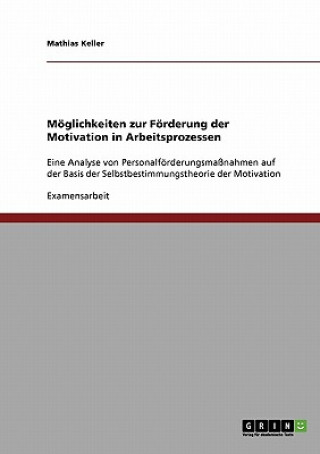 Kniha Moeglichkeiten zur Foerderung der Motivation in Arbeitsprozessen Mathias Keller