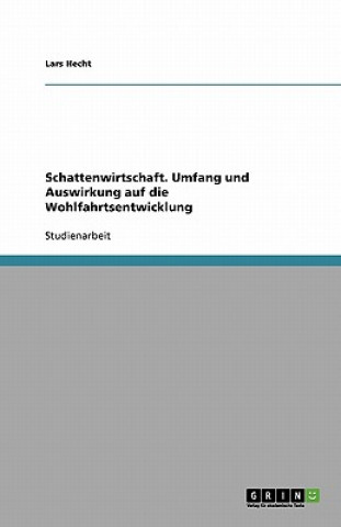 Kniha Schattenwirtschaft. Umfang Und Auswirkung Auf Die Wohlfahrtsentwicklung Lars Hecht