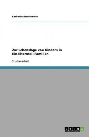 Kniha Zur Lebenslage Von Kindern in Ein-Elternteil-Familien Katharina Hartenstein