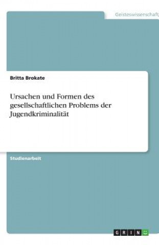 Kniha Ursachen und Formen des gesellschaftlichen Problems der Jugendkriminalität Britta Brokate