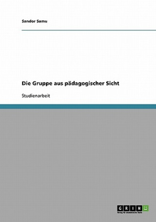 Könyv Gruppe aus padagogischer Sicht Sandor Samu