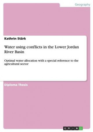 Könyv Water using conflicts in the Lower Jordan River Basin Kathrin Stärk