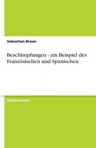 Könyv Beschimpfungen - am Beispiel des Französischen und Spanischen Sebastian Braun