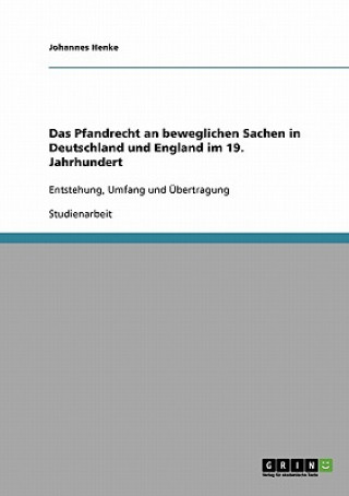 Book Pfandrecht an beweglichen Sachen in Deutschland und England im 19. Jahrhundert Johannes Henke